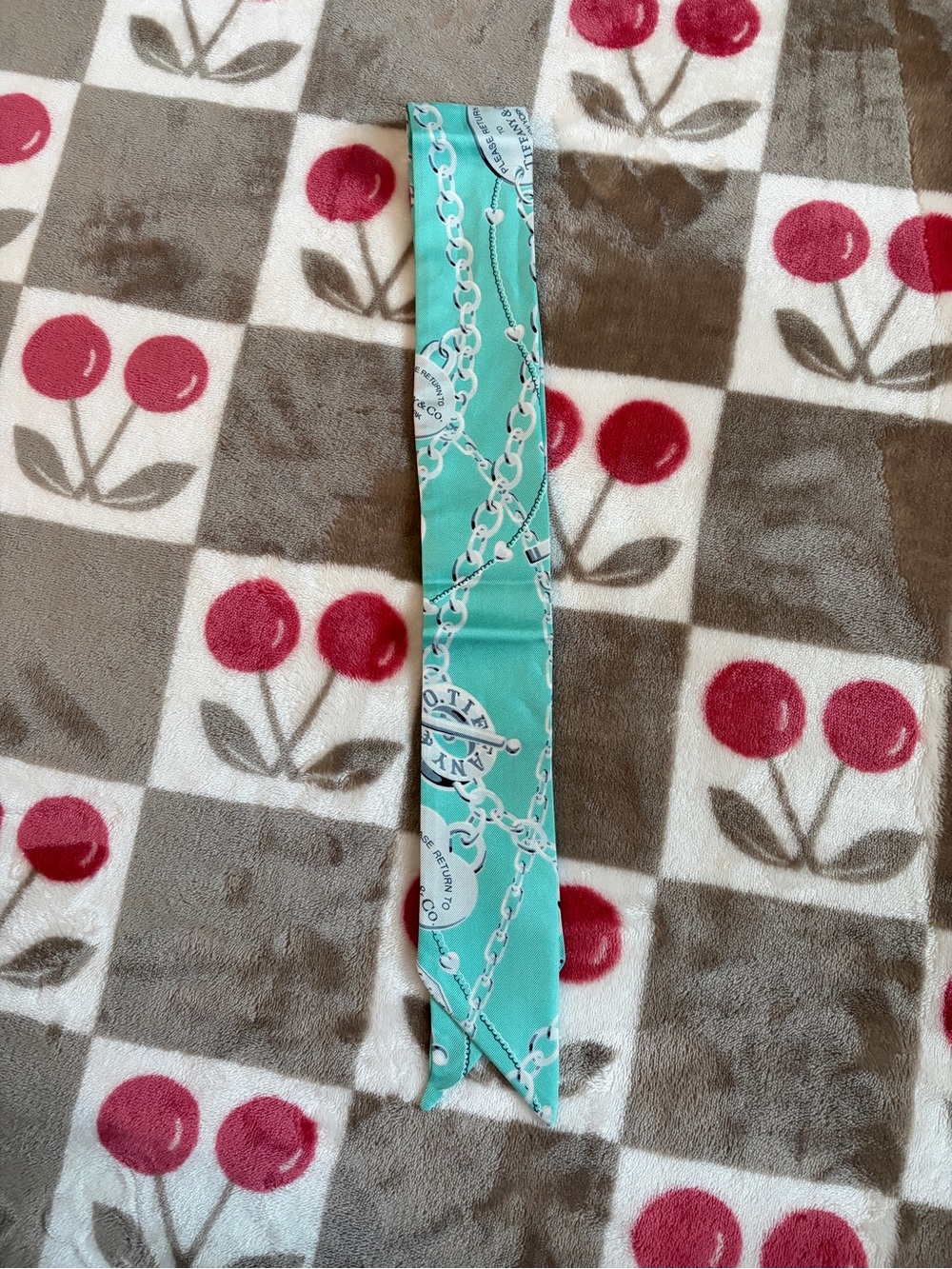 Silk Scarf in Mint Green with White Chain Print